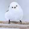 けー's profile picture