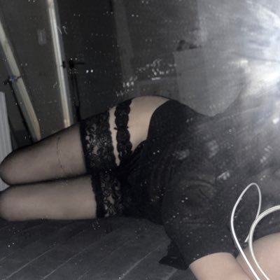 이설's profile picture