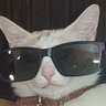 nauwaq profil fotoğrafı