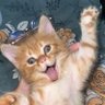 Farik's profile picture