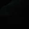 Mat DeLeo's profile picture