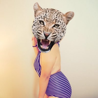 Fei🦦's profile picture