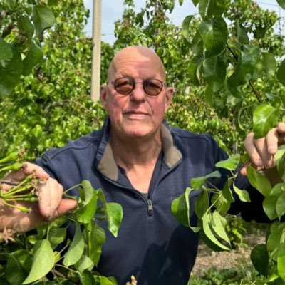 LeeuwisMarcel's profile picture