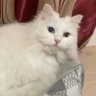 671399's profile picture