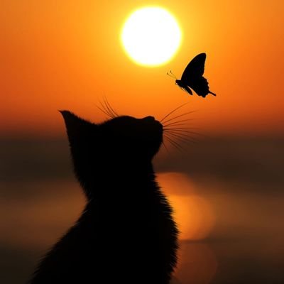 anapaulakirby1's profile picture