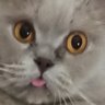 Profilbild von Eddie