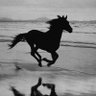 Omissis profil fotoğrafı