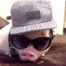 Profilbild von 🐷