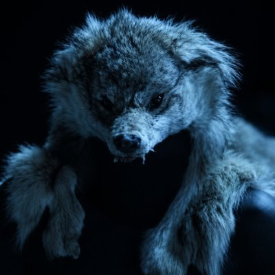 streetmediatv's profile picture