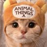 Animal Things's profile picture