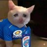Kika raja profil fotoğrafı