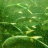 Фото профиля Mauricio Torres
