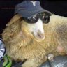 Profilbild von +