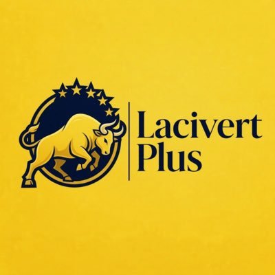 Lacivert Plus's profile picture