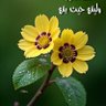 Фото профиля yasser elking