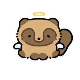 🦝's profile picture