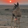 الحمدلله's profile picture