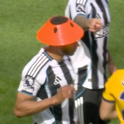 MemeIngles's profile picture