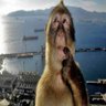 Globux2000 profil fotoğrafı