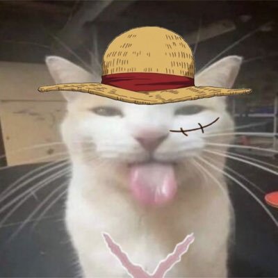 mugiwxra's profile picture