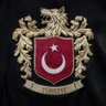 Profilbild von ALİ ÇALIŞKAN