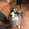 Rick's profile picture