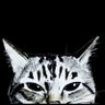 BtheSilent's profile picture