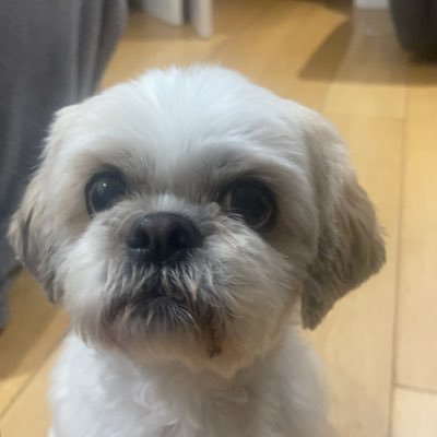 wfcandrew's profile picture