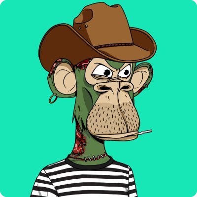 craigscoinpurse's profile picture
