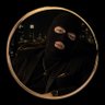 Tirlyy's profile picture