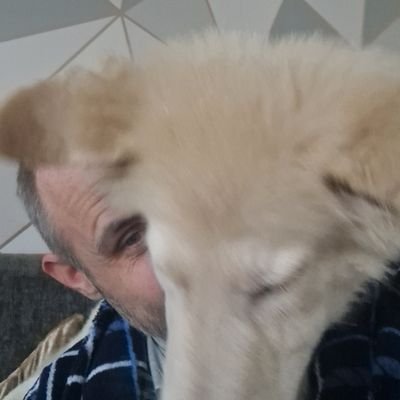 SDude32's profile picture