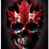 Profilbild von William MacDonald
