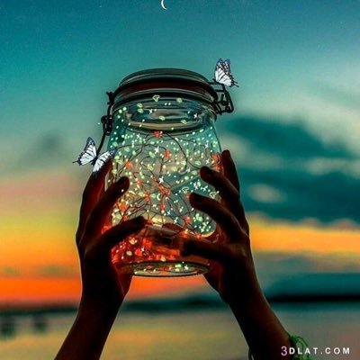 optimism454's profile picture