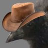 Profilbild von Errattik