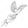 𝙰𝙽𝙸𝙴𝙻𝙰🕊's profile picture