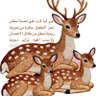 "عبدالله" 的头像