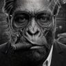 Roberto Picesto profil fotoğrafı