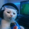 RektXBT's profile picture