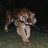 REdX Bhai's profile picture