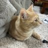 shuto profil fotoğrafı