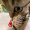 Ver!fied Paaji ❁'s profile picture