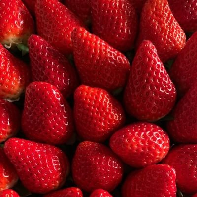 foody food 😘's profile picture