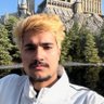 Aditya's profile picture