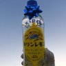 今現在減気と元気が混ざった茶碗蒸しさん♪ 的头像