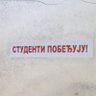 Ljilja Milovic's profile picture