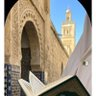 Profilbild von أم تيمية
