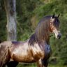 تآيه profil fotoğrafı