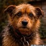 Morfius profil fotoğrafı