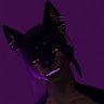 Profilbild von TheRakun 🔞