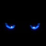 vengeance's profile picture
